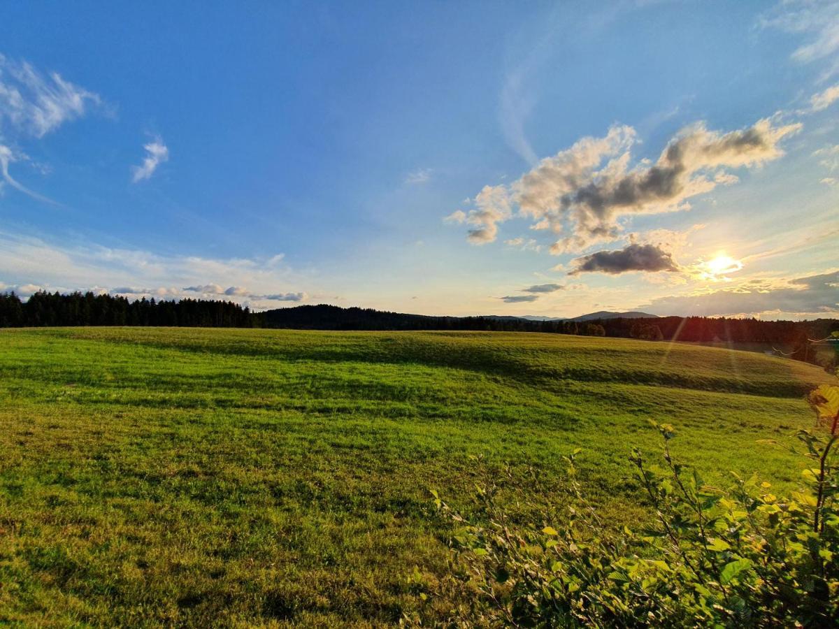Apartma Sveti Duh Nova Vas  Kültér fotó
